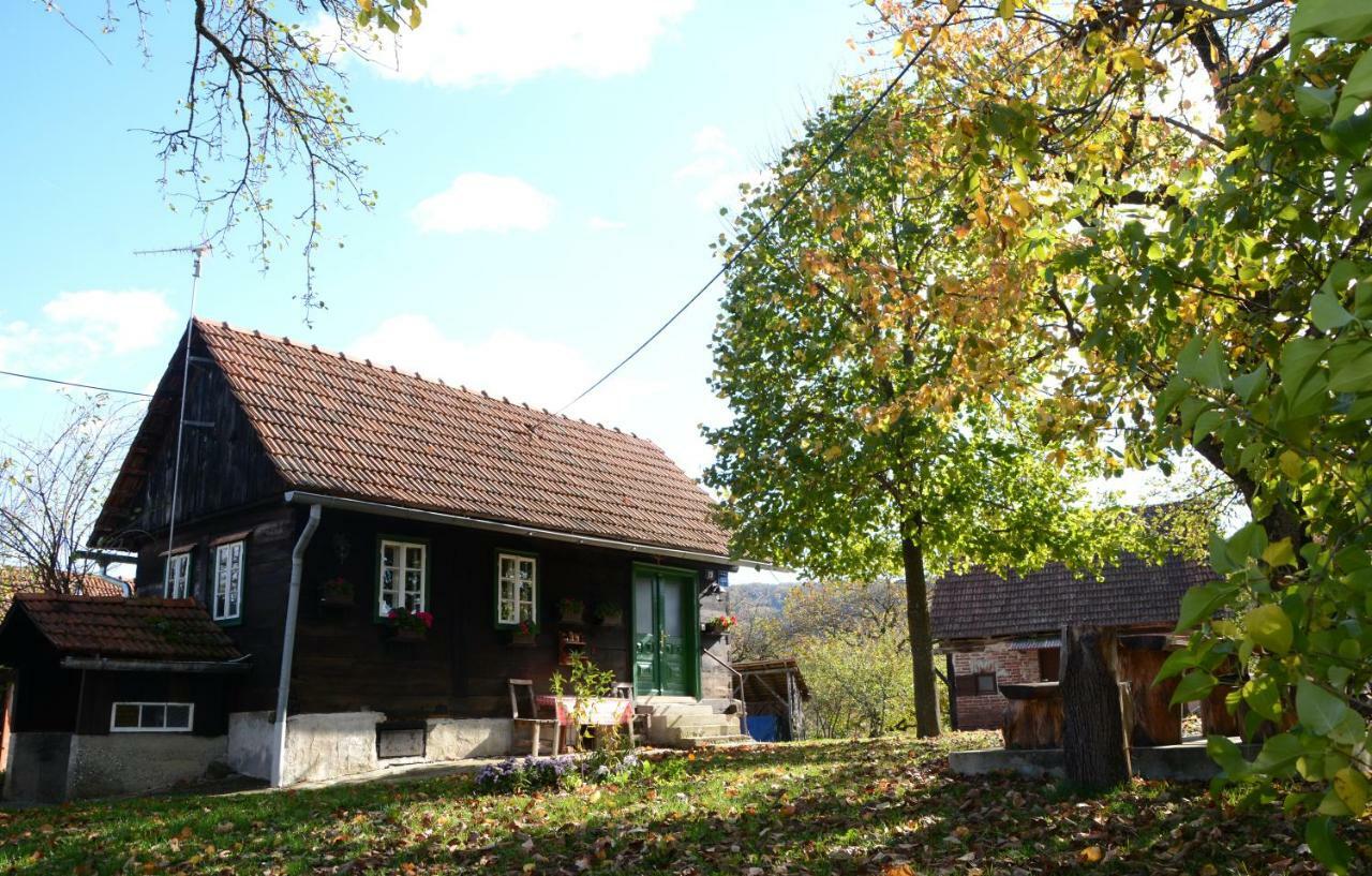Holiday Home Hizica V Plavem Trnacu Gornja Stubica Exterior photo
